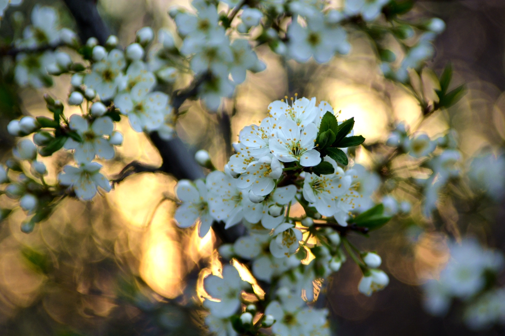 ���� 158_����.jpg