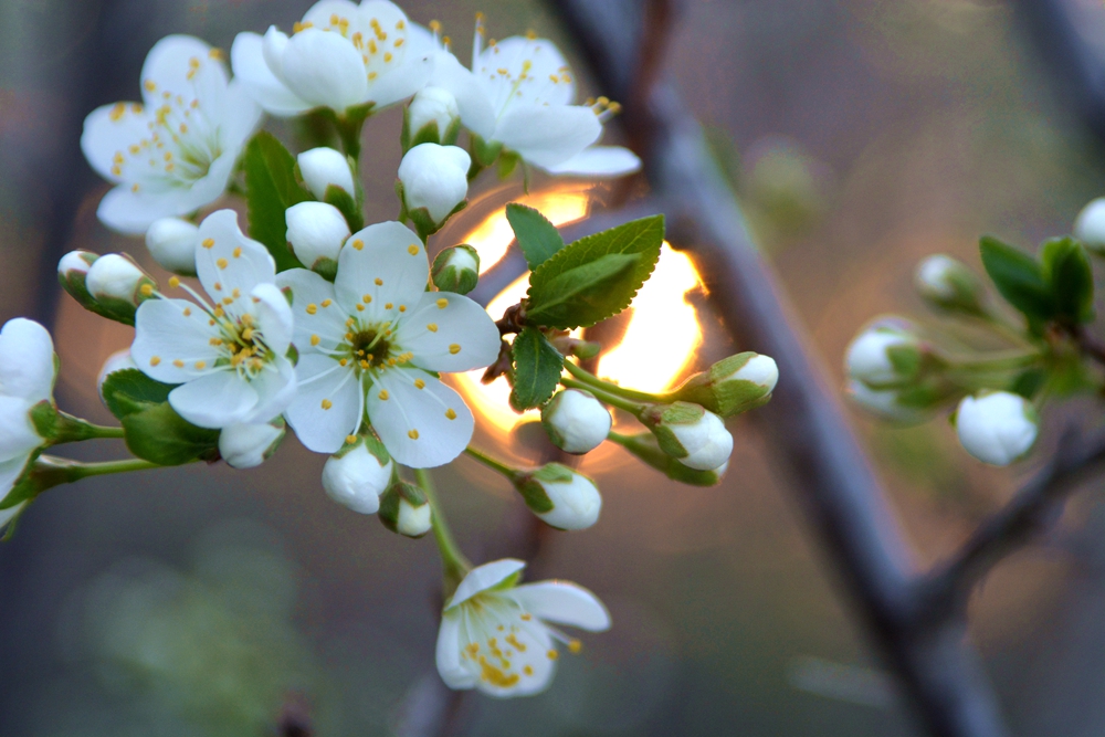 ���� 173_����.jpg