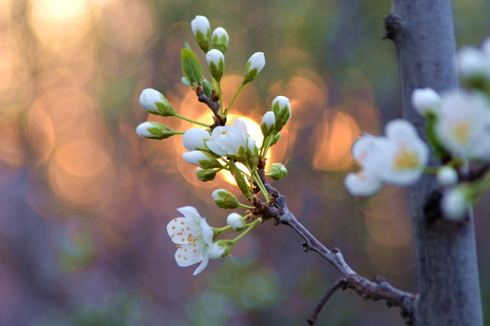 ���� 177_����.jpg