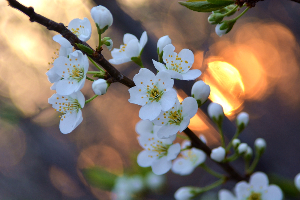 ���� 178_����.jpg