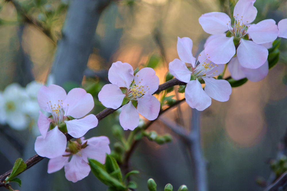 ���� 185_����.jpg