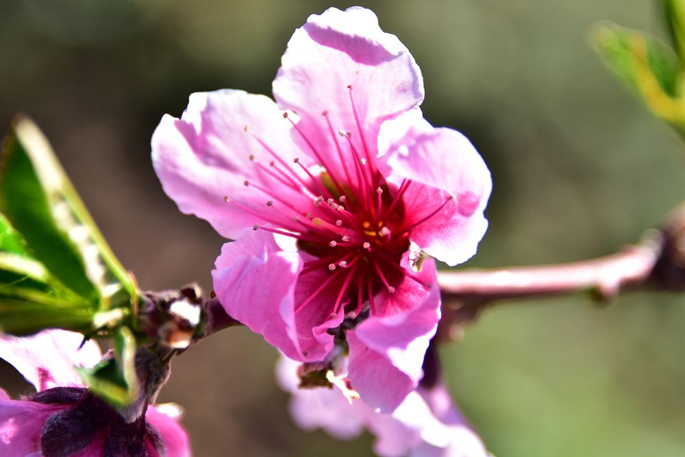 ��Ƭ��԰���� 017_����.jpg