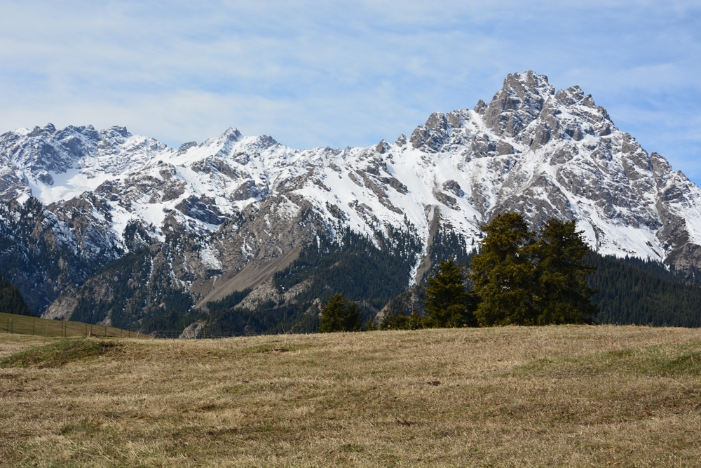 ¹����֮�� 004_����.jpg