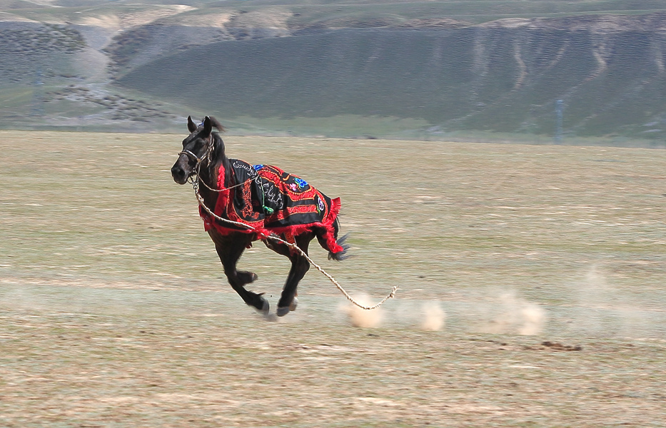 CW2Z1326 ������������_����.jpg