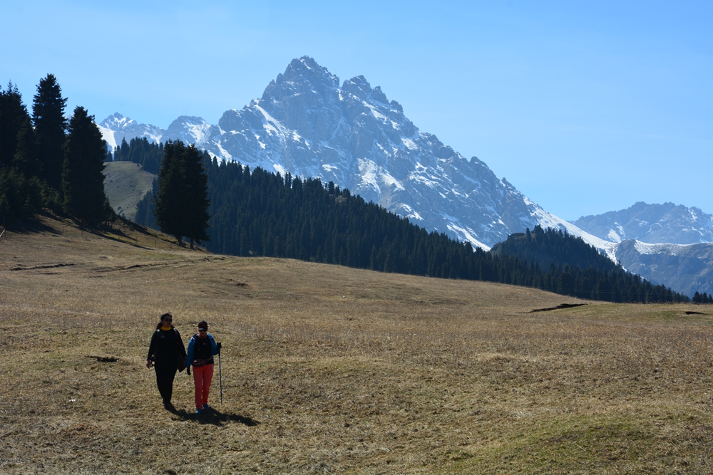 ¹����֮�� 300_����.jpg