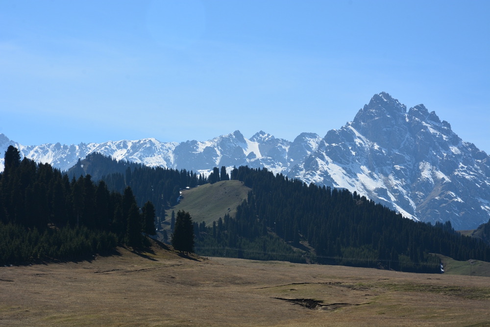 ¹����֮�� 311_����.jpg