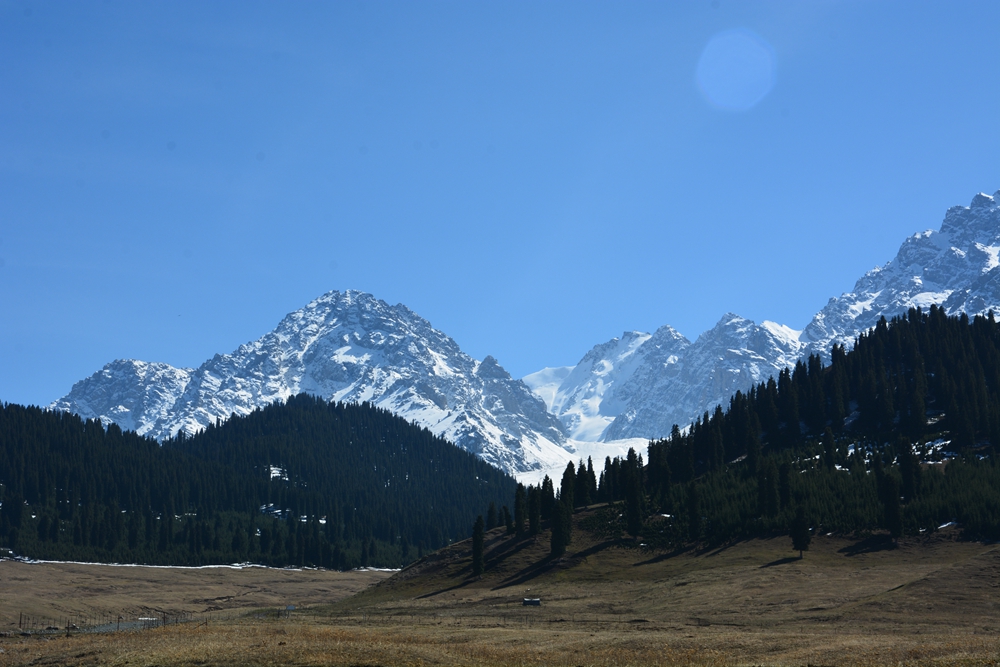 ¹����֮�� 317_����.jpg