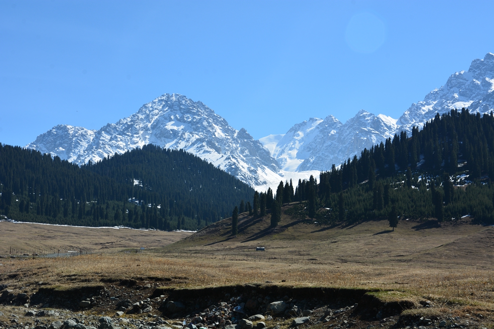 ¹����֮�� 318_����.jpg