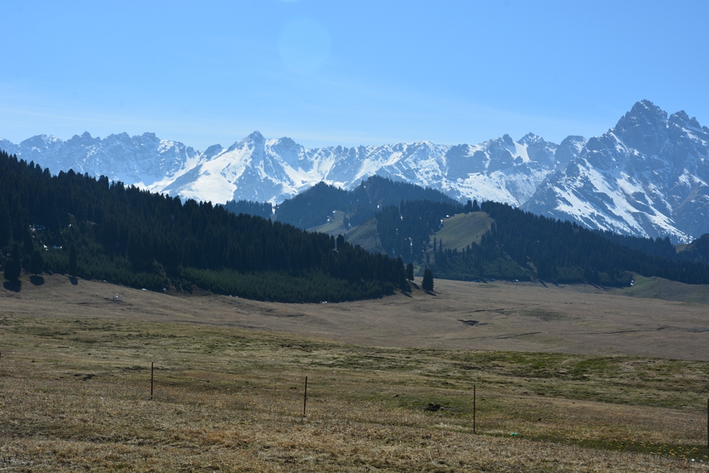 ¹����֮�� 339_����.jpg