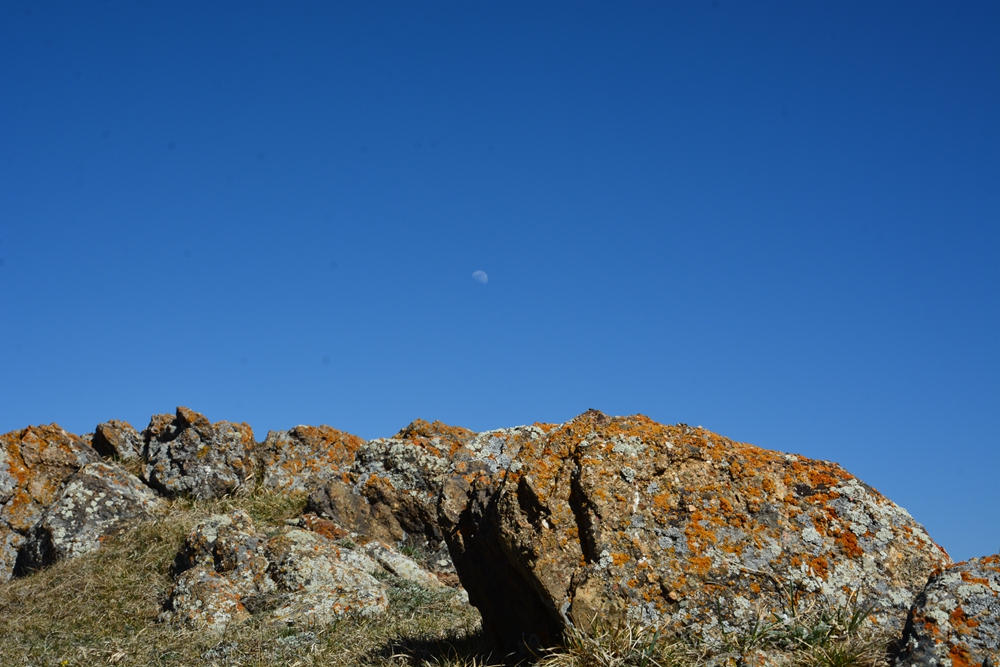 ¹����֮�� 365_����.jpg