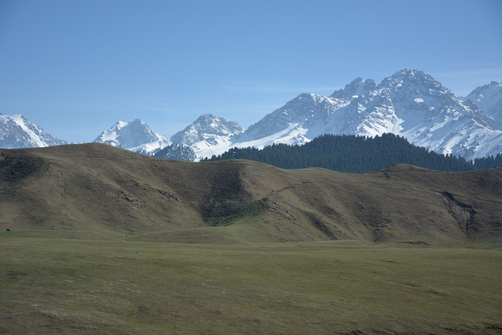 ¹����֮�� 419_����.jpg