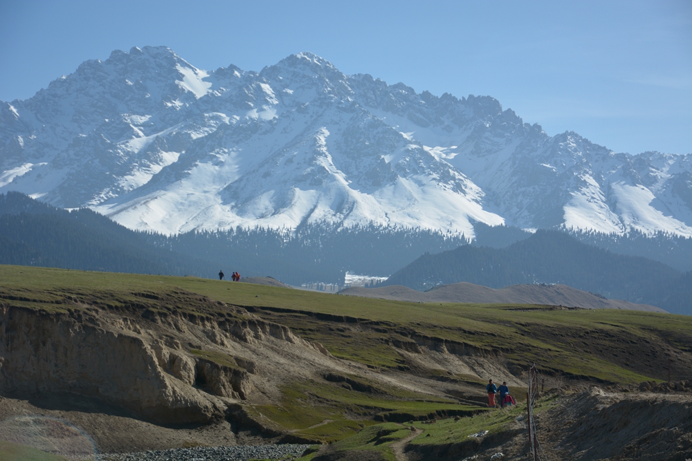 ¹����֮�� 446_����.jpg