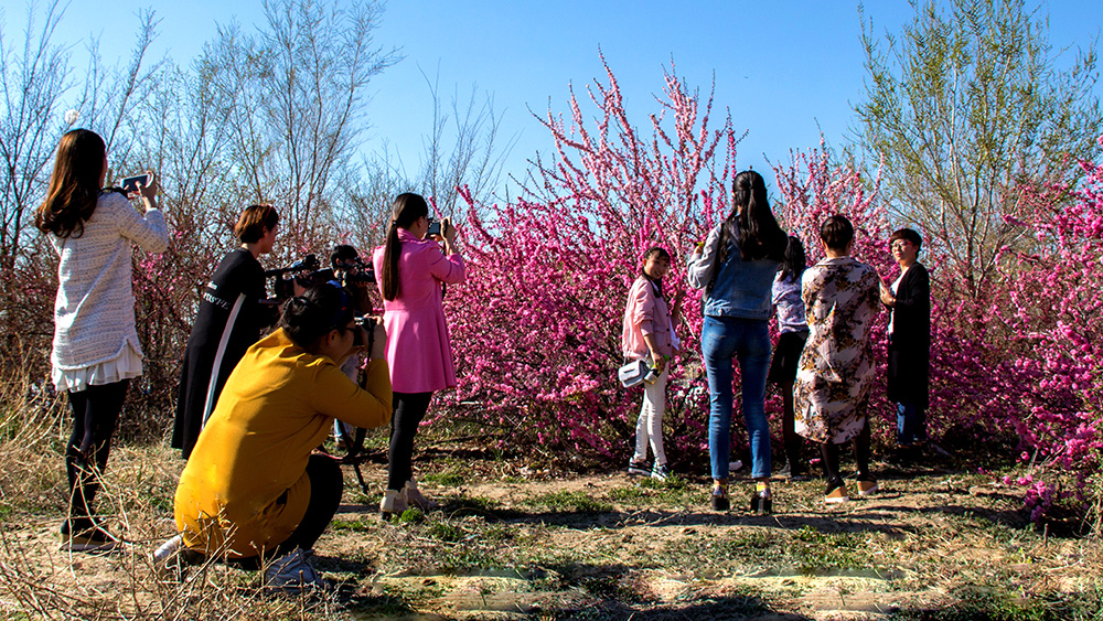 ��÷�ִ� (7).jpg