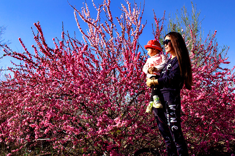 ��÷�ִ� (9).jpg