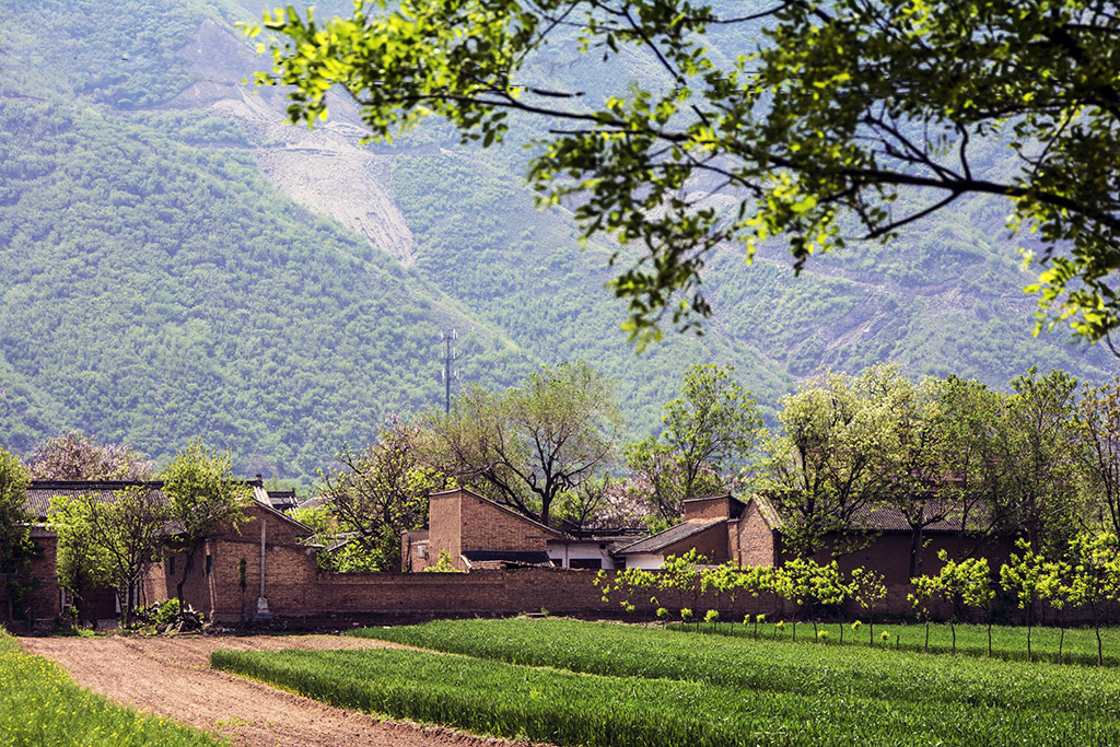 ����ɽ�º÷��3...