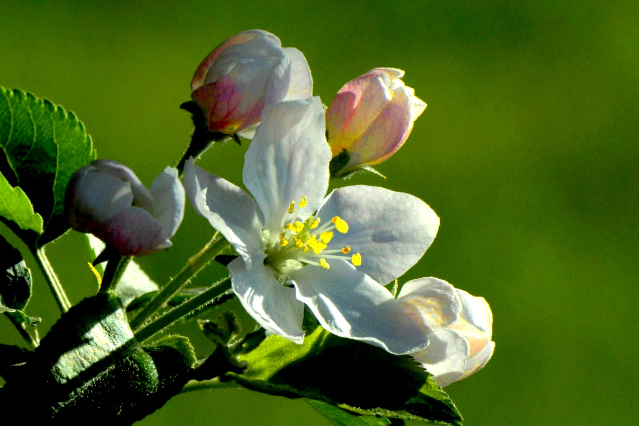 ƻ���� (2).jpg