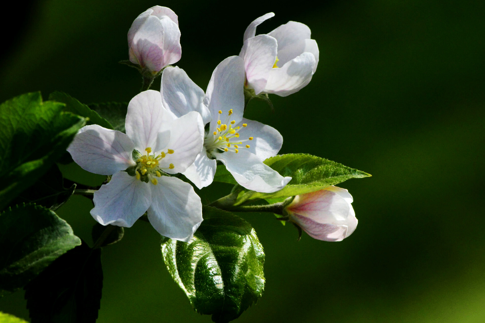 ƻ���� (3).jpg