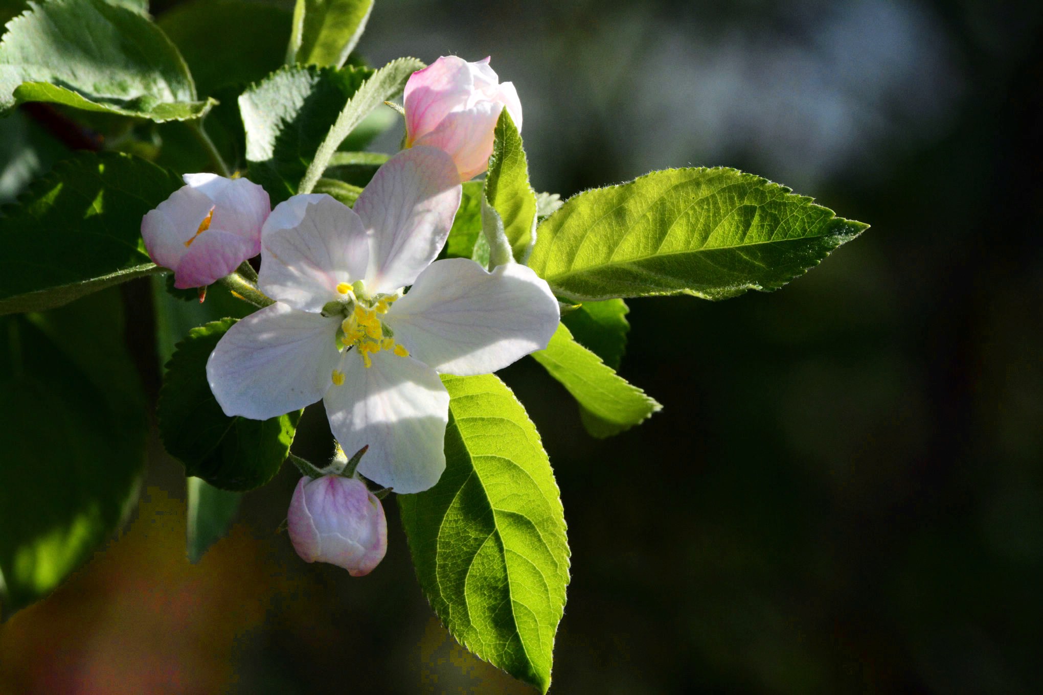 ƻ���� (5).jpg