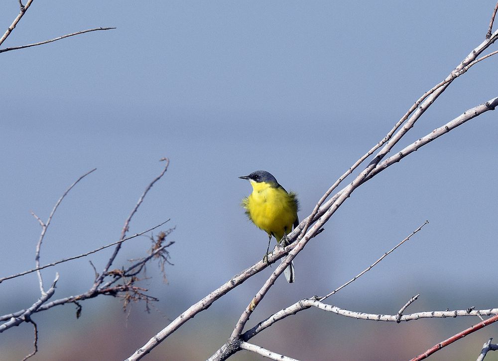 ��Ƭ��԰���� 540_����.jpg