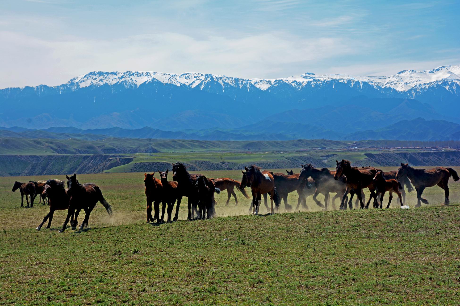 ������С DSC_8100.JPG