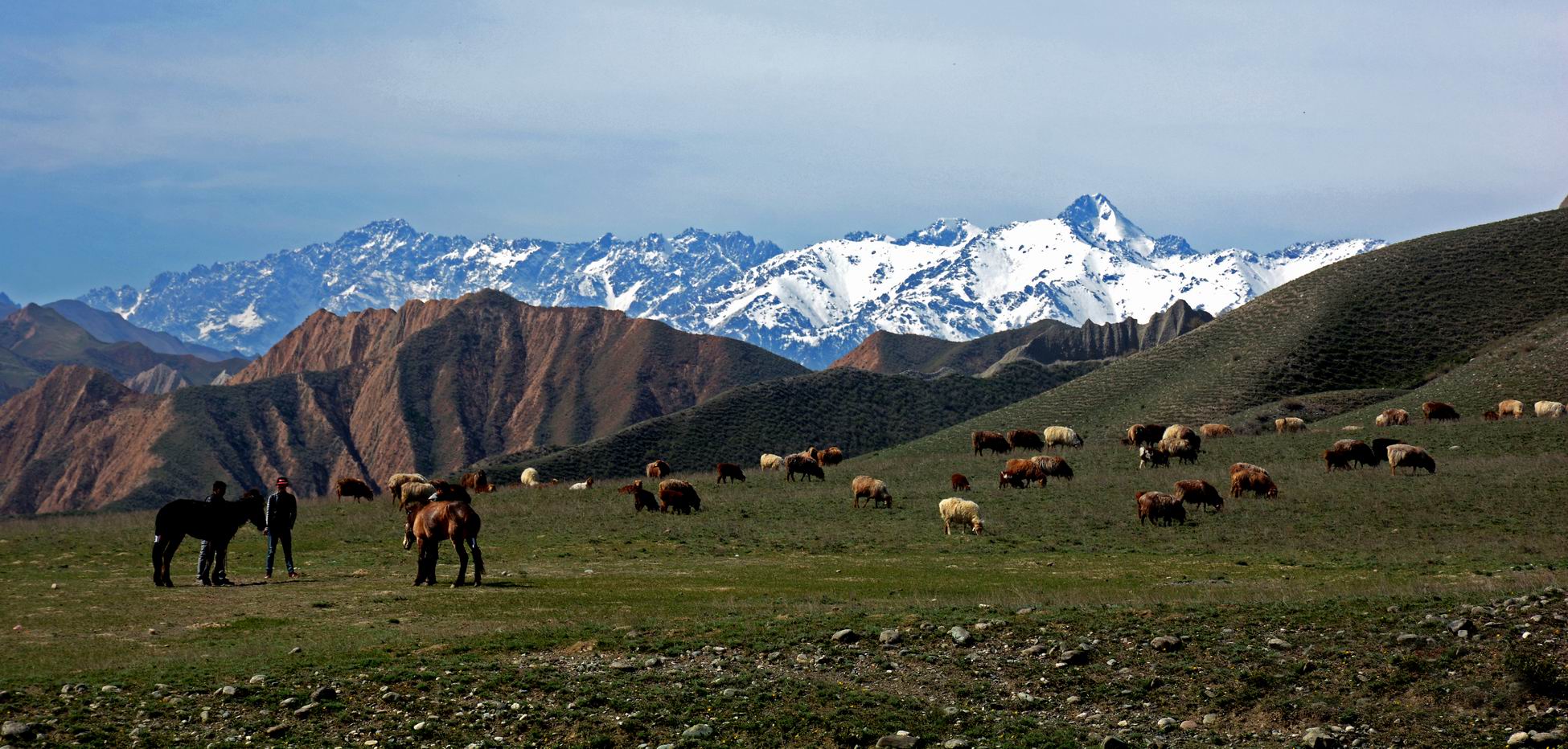 ������С DSC_8015_����.jpg