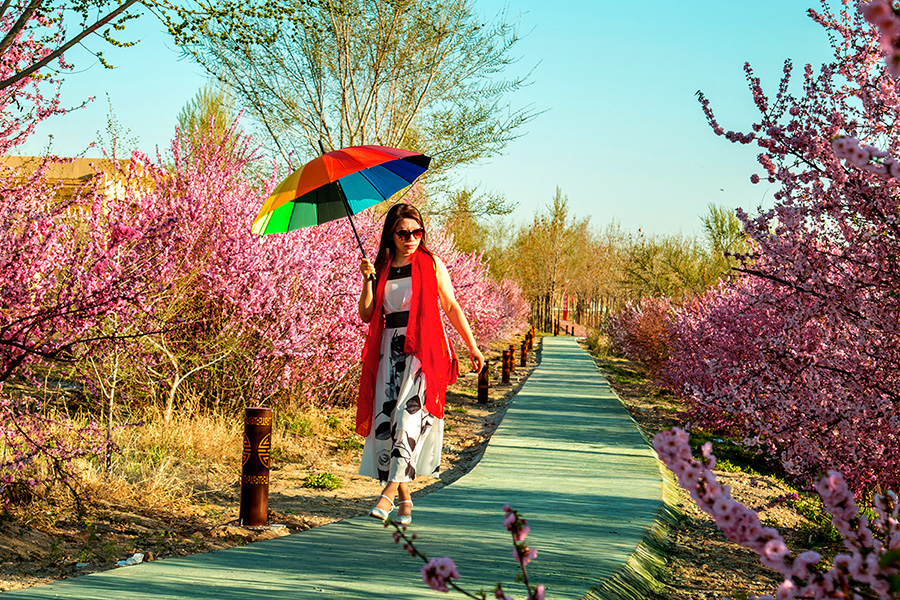 �������� (1).jpg