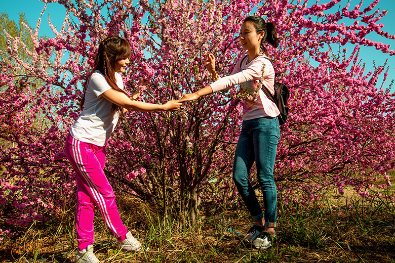 �������� (3).jpg