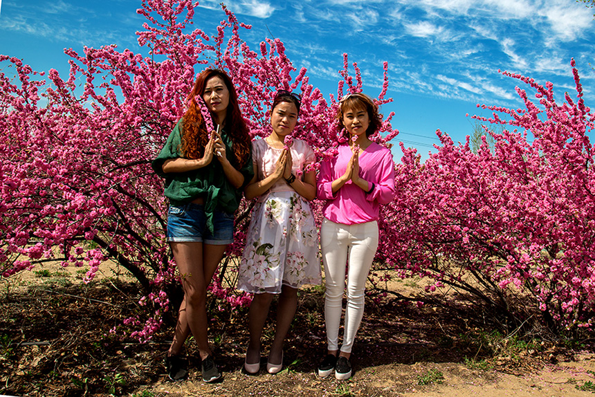 �������� (5).jpg