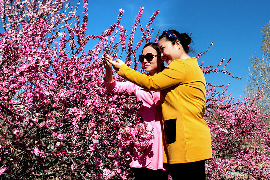 �������� (8).jpg