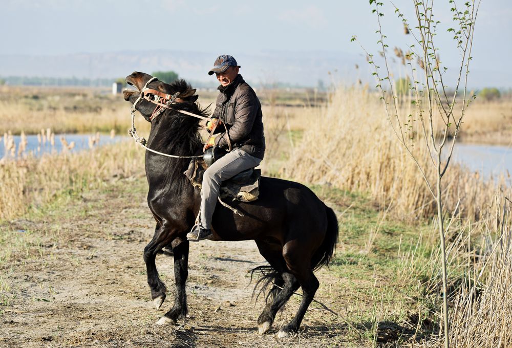 ��Ƭ��԰���� 292_����.jpg