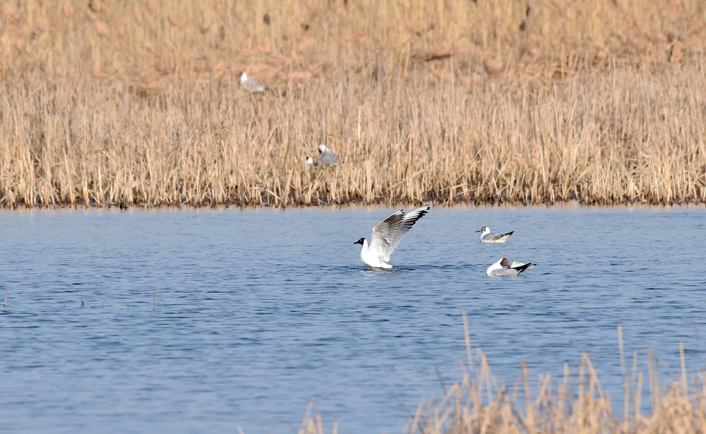 ��Ƭ��԰���� 282_����.jpg