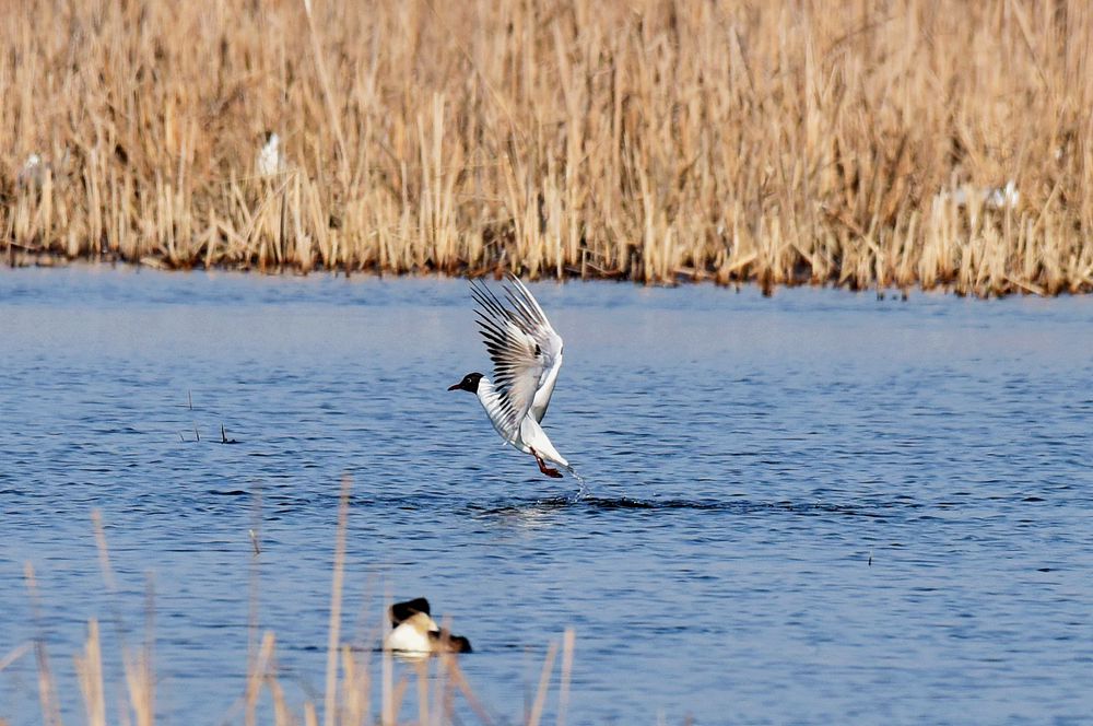 ��Ƭ��԰���� 310_����.jpg