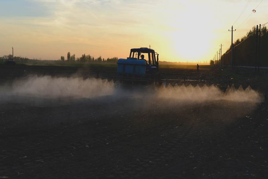 ��ʩ���ݼ�