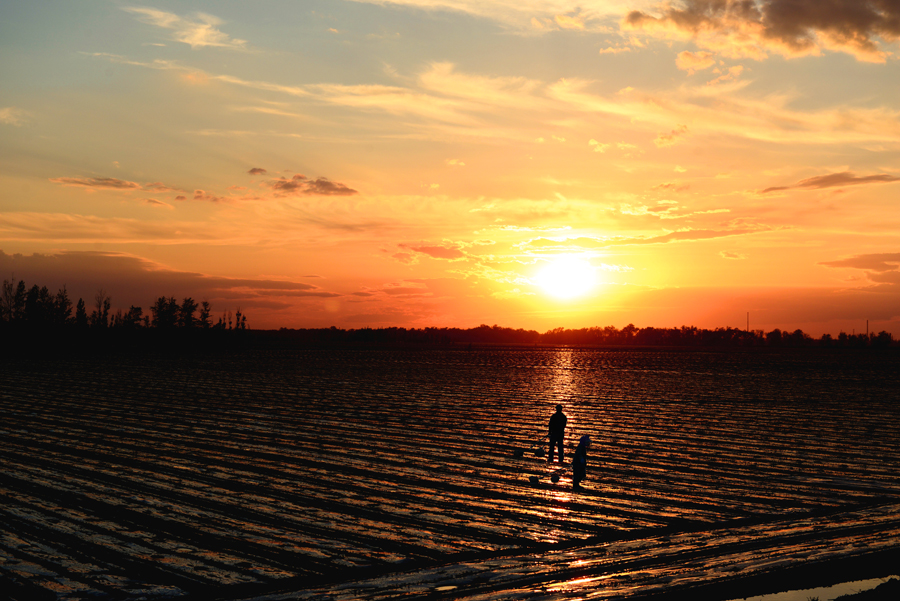 ���޸���ӭ����