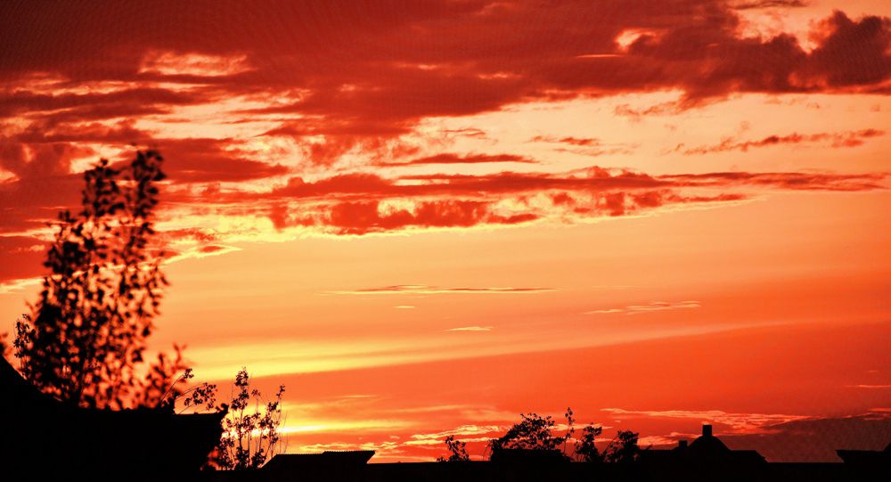 ��Ƭ��԰���� 008_����_����.jpg