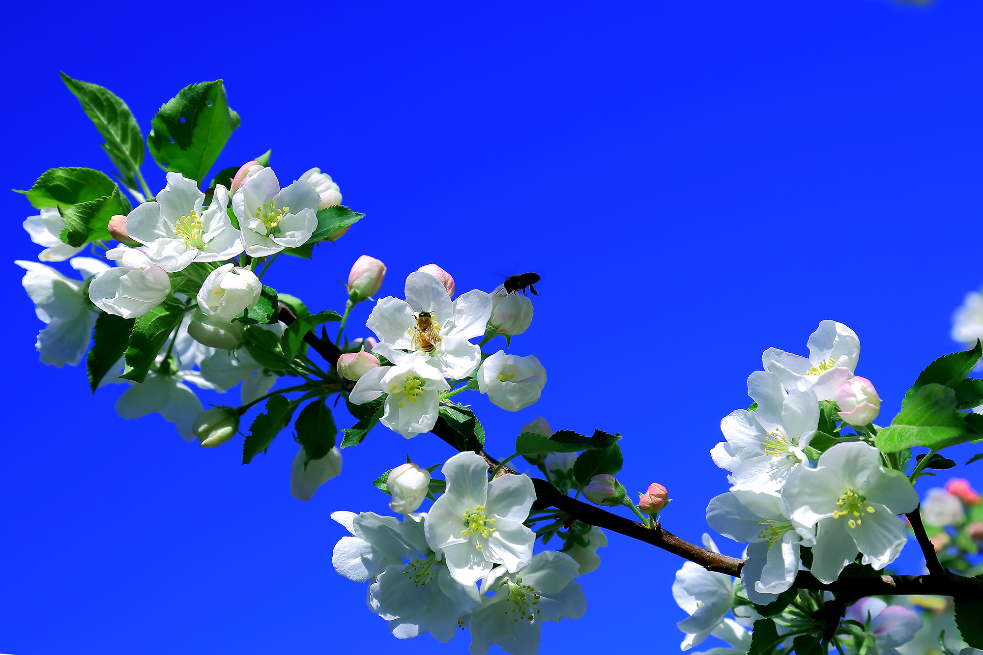 �崺�ͻ� (1).jpg