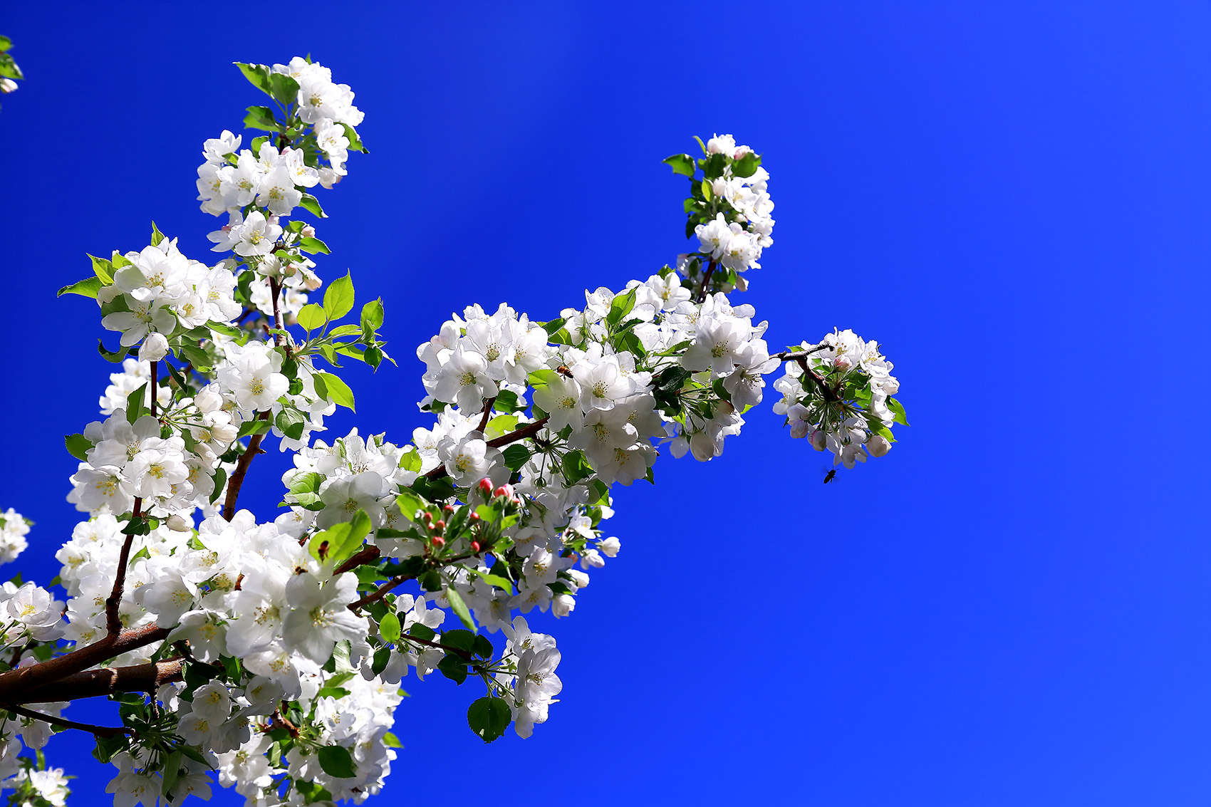 �崺�ͻ� (2).jpg