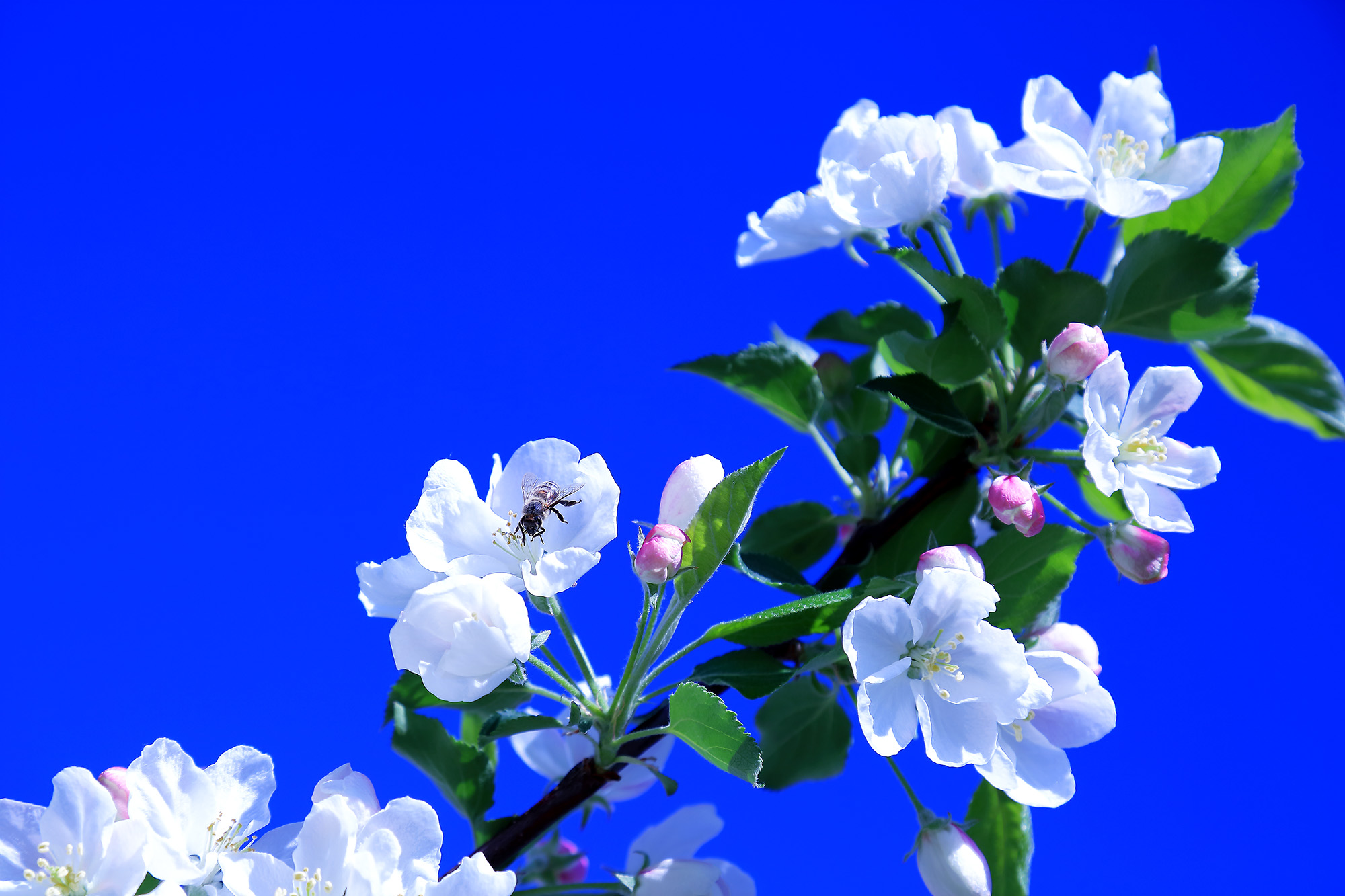 �崺�ͻ� (3).jpg