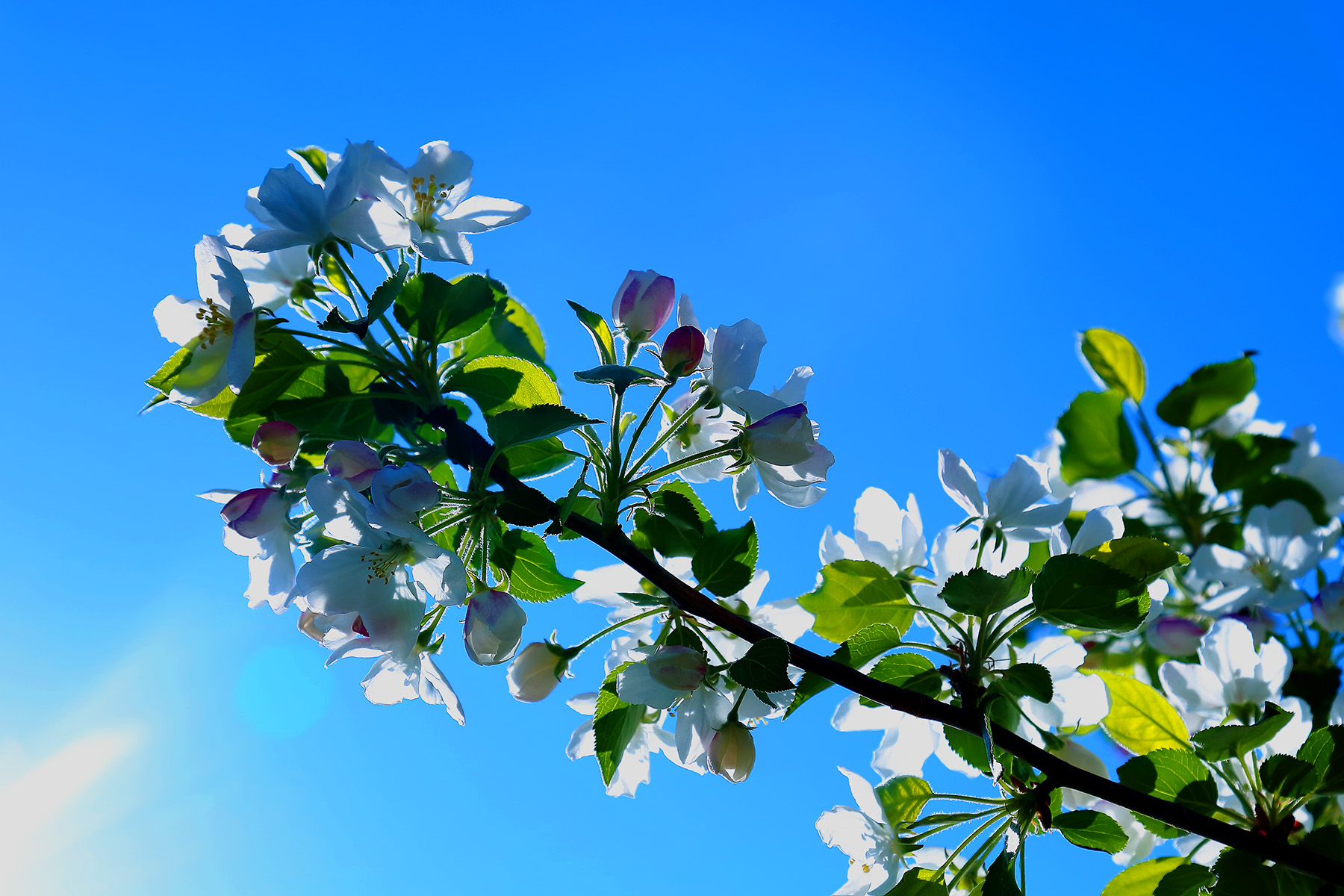 �崺�ͻ� (4).jpg