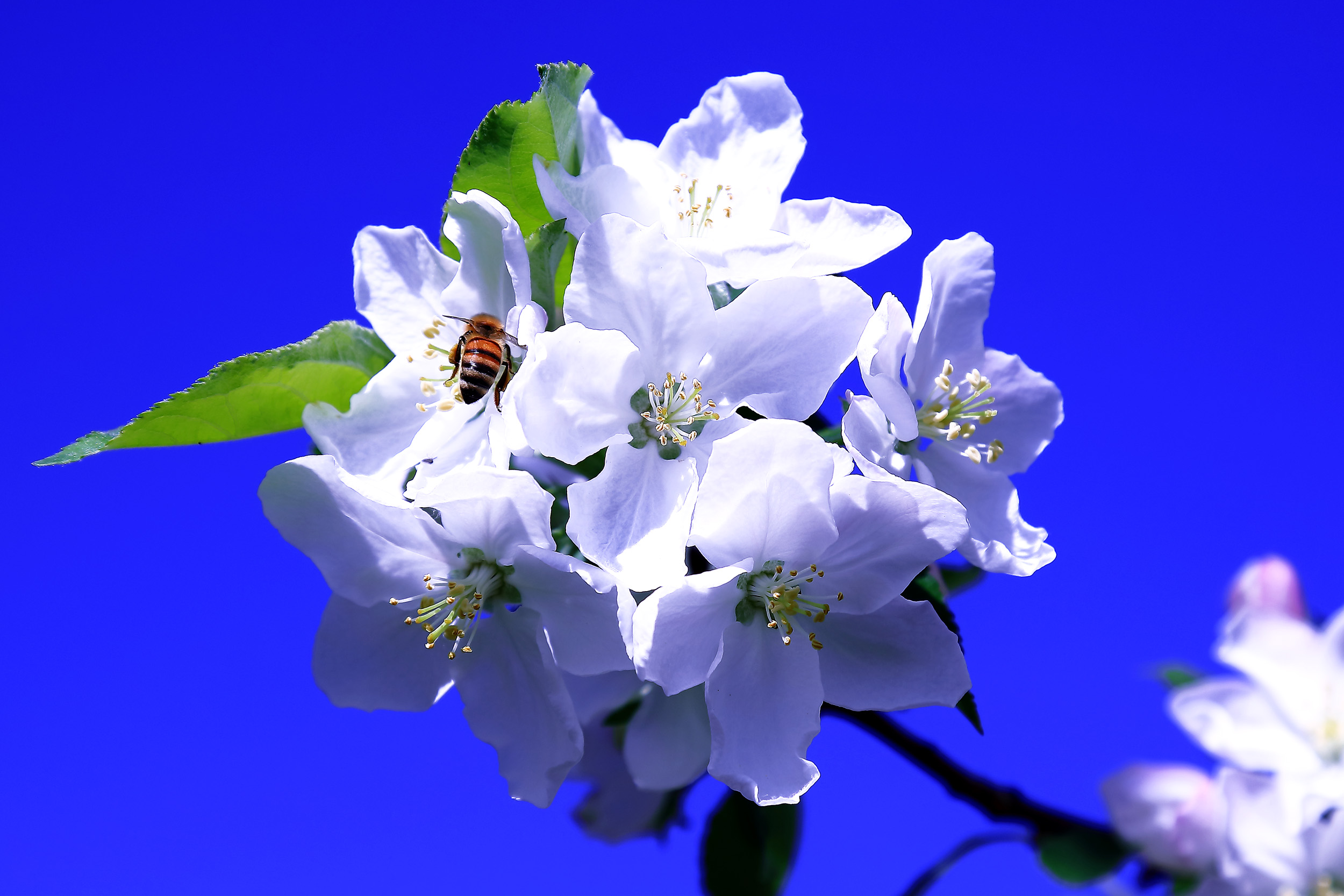 �崺�ͻ� (5).jpg