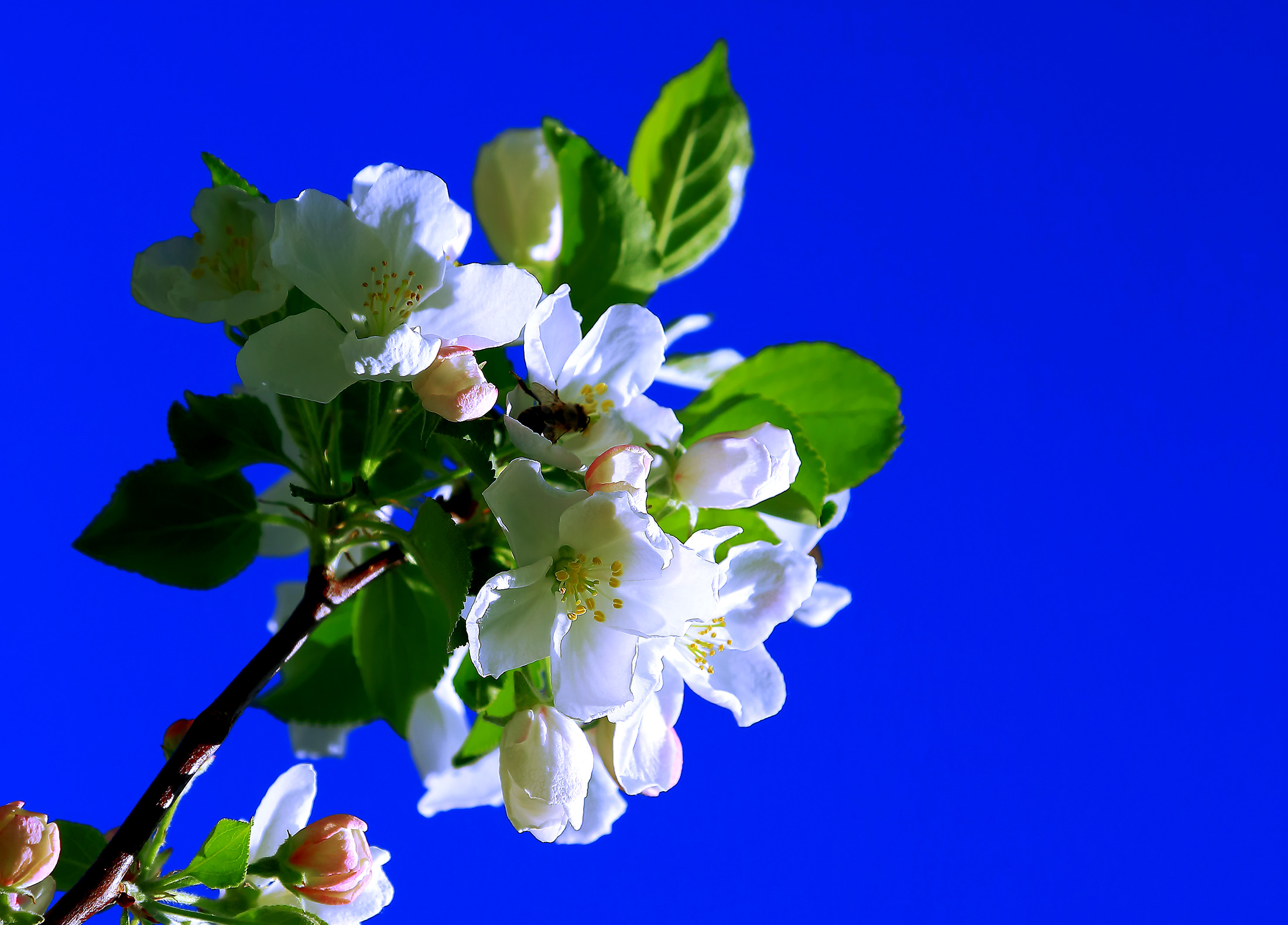 �崺�ͻ� (6).jpg