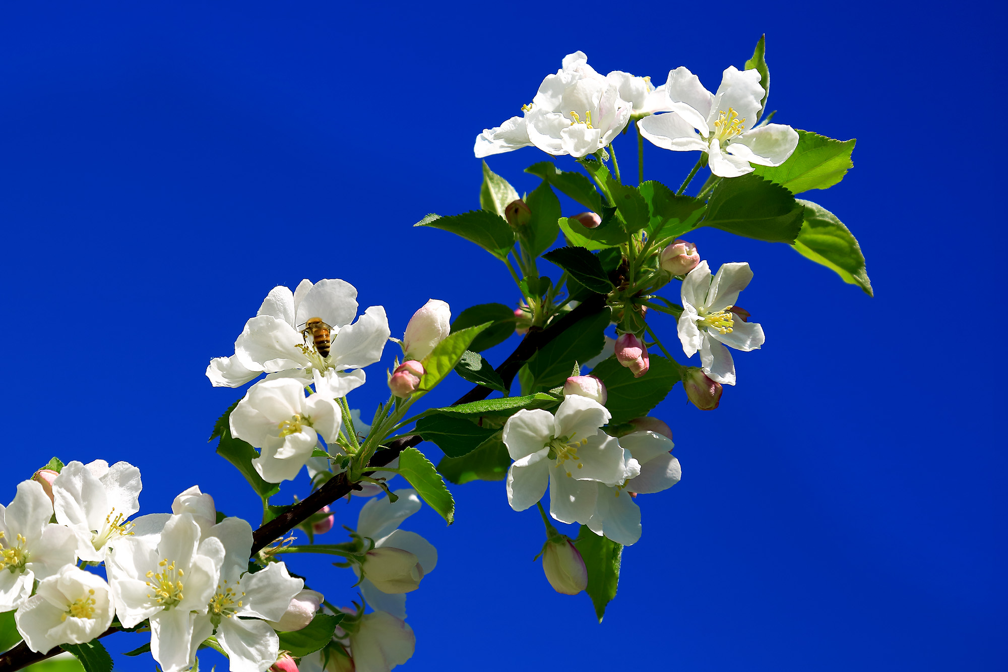 �崺�ͻ� (7).jpg