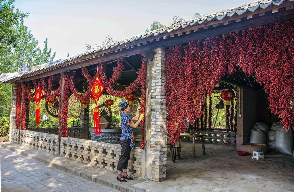 ������.......