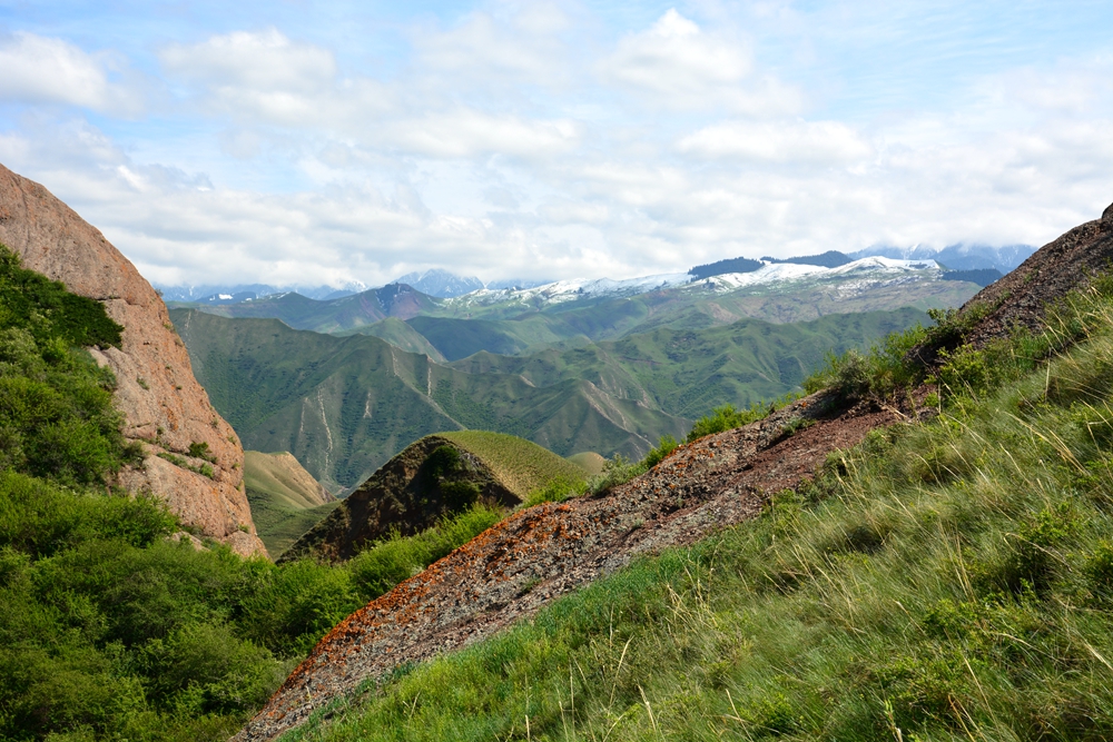 ��ԭ�Ļ��� 585_����.jpg