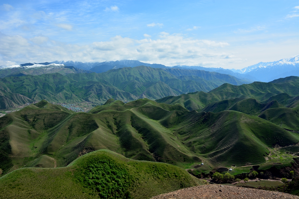 ��ԭ�Ļ��� 618_����.jpg