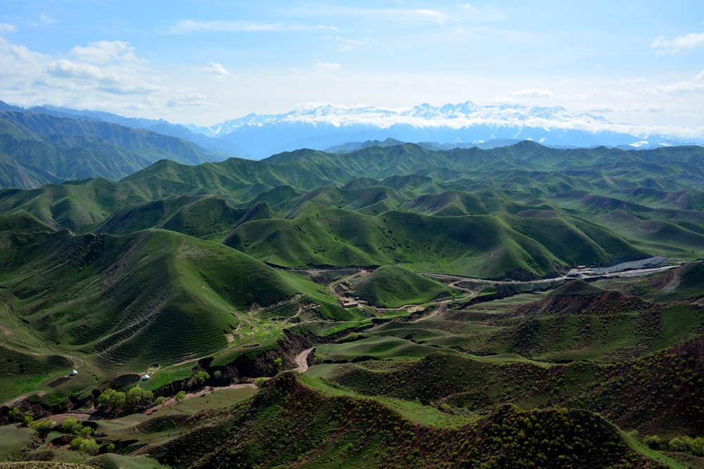 ��ԭ�Ļ��� 642_����.jpg