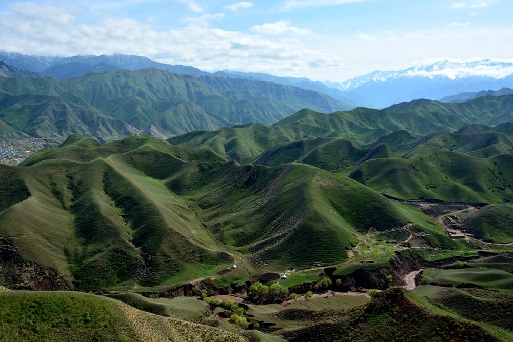 ��ԭ�Ļ��� 649_����.jpg