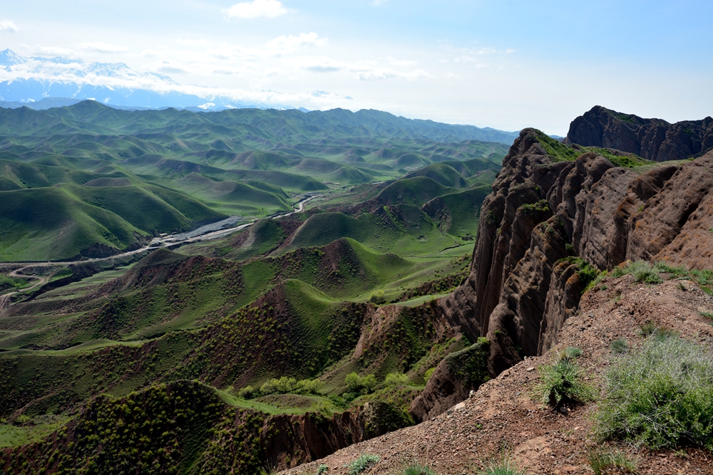 ��ԭ�Ļ��� 651_����.jpg