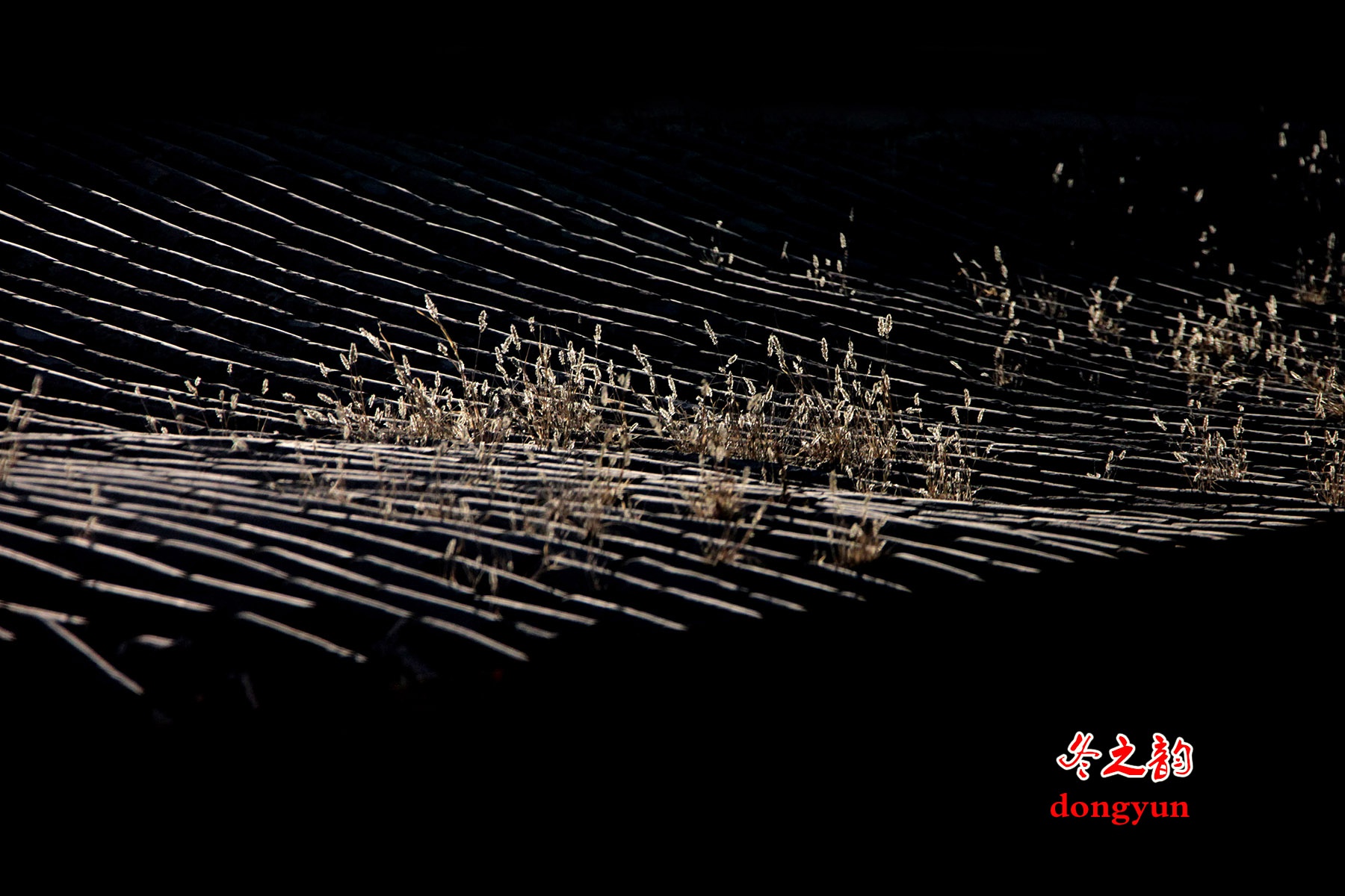 8.  ��֮��.jpg