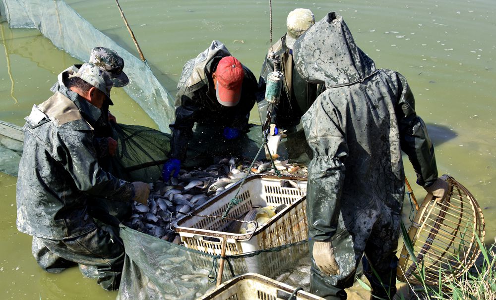 ��Ƭ��԰���� 380_����.jpg